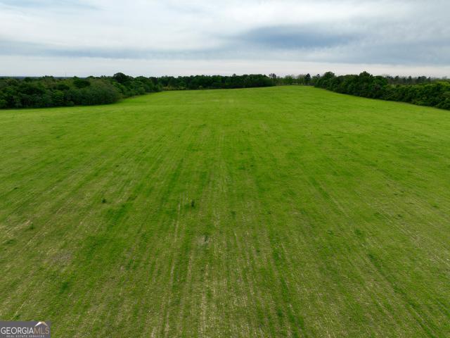 Land for sale in Hawkinsville, Georgia
