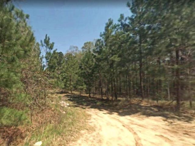 Land for sale in Polk, Texas