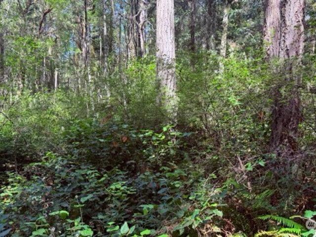 Land for sale in Port Townsend, Washington