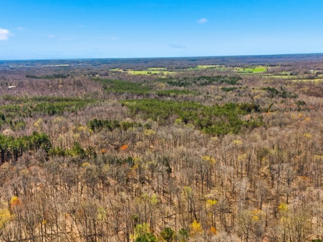 Farm for sale in West Tennessee, Tennessee