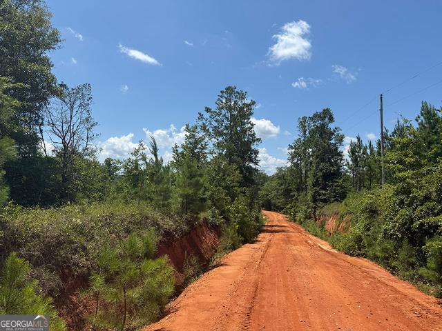 Land for sale in Webster, Georgia