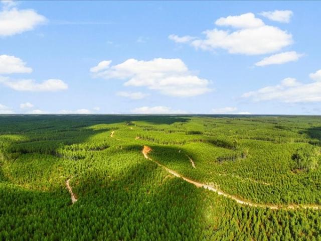 Land for sale in Tennessee