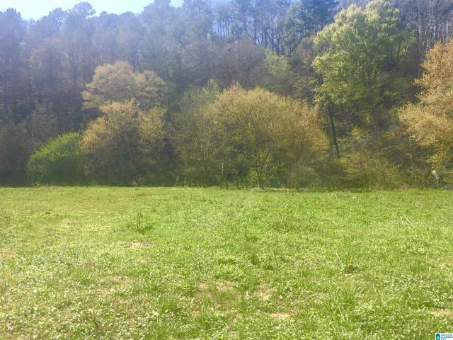 Land for sale in Blount, Alabama