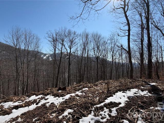 Land for sale in Mars Hill, North Carolina