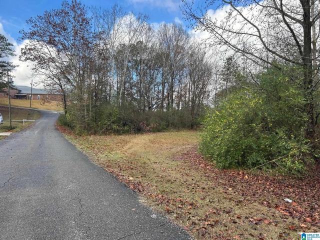 Land for sale in Anniston, Alabama