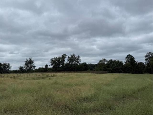 Land for sale in Crewe, Nottoway County