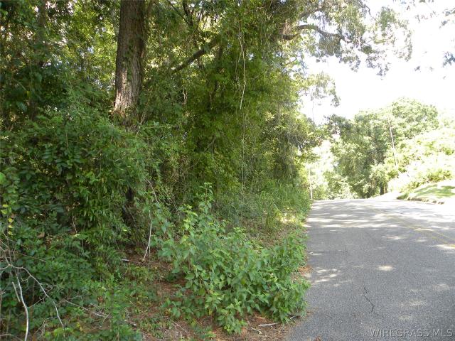 Land for sale in Ozark, Dale County