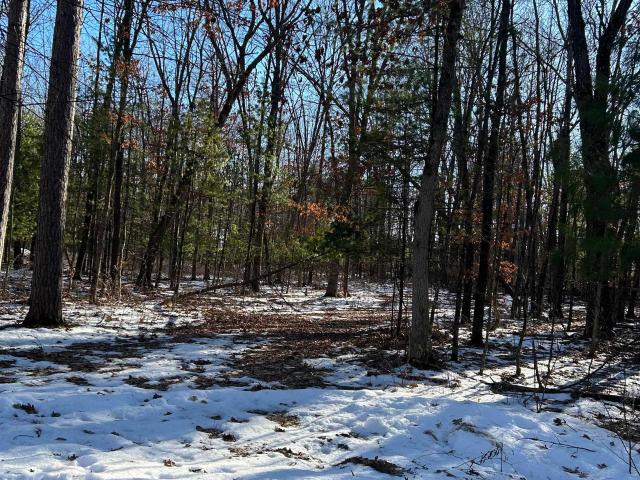 Land for sale in Tomah, Wisconsin