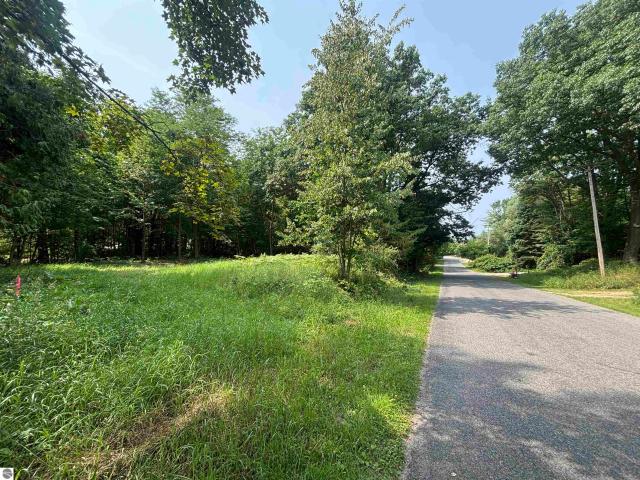 Land for sale in Michigan