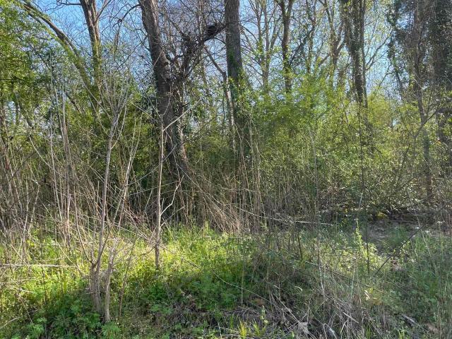 Land for sale in Roanoke, Alabama