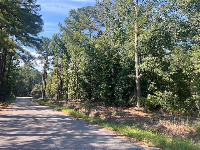 Land for sale in Walterboro, Colleton County
