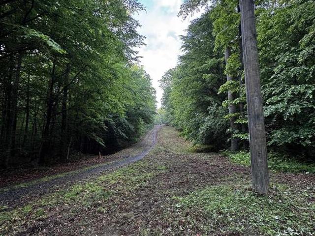 Land for sale in Virginia