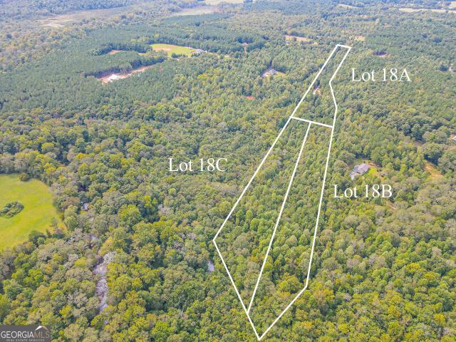 Land for sale in Banks, Georgia