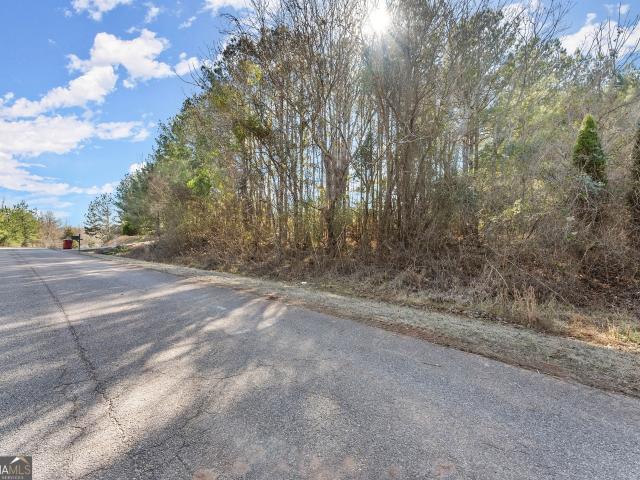 Land for sale in Banks, Georgia