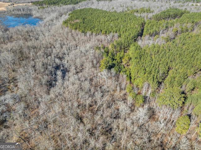 Land for sale in Commerce, Banks County