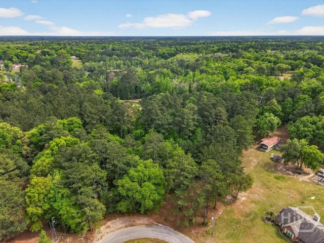 Land for sale in Georgia