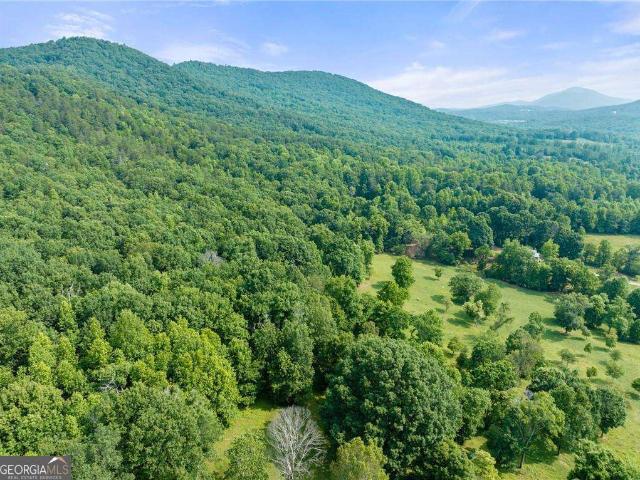 Land for sale in Cleveland, Georgia