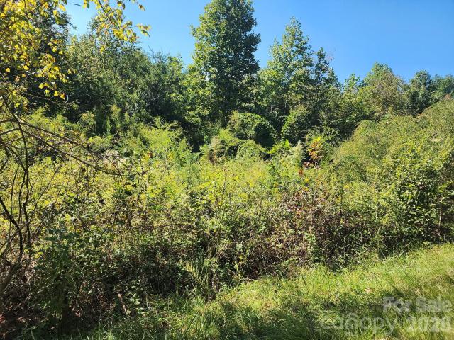 Land for sale in Lake Lure, Rutherford County