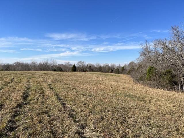Land for sale in Tennessee