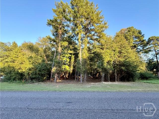 Land for sale in Screven, Georgia