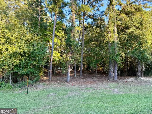 Land for sale in Screven, Georgia