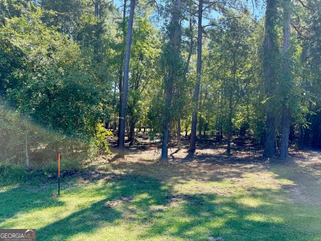 Land for sale in Screven, Georgia
