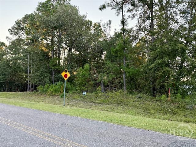 Land for sale in Screven, Georgia