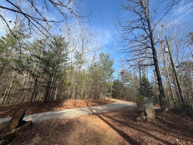 Land for sale in Georgia