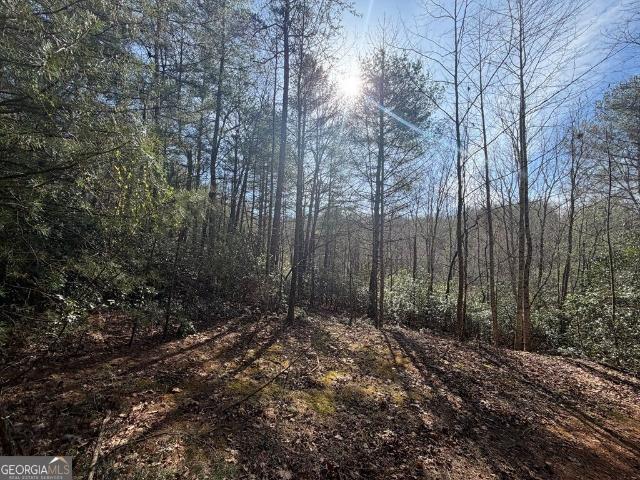 Land for sale in Dahlonega, Georgia