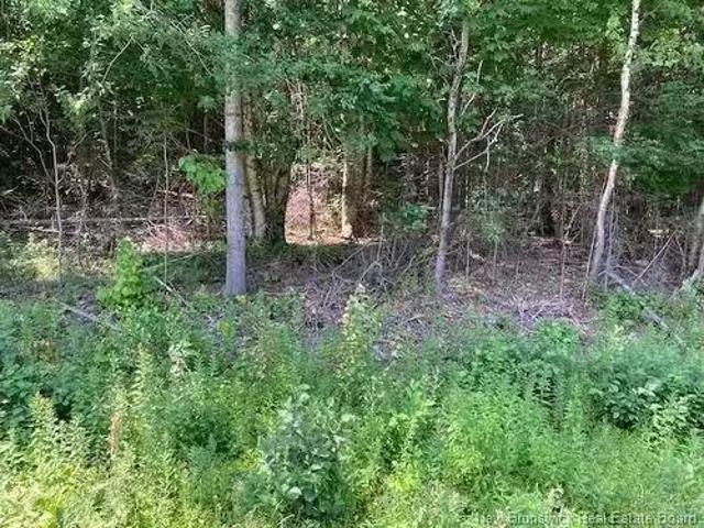 House for sale in Charlotte, New Brunswick