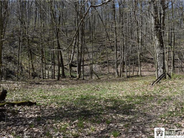 Land for sale in Cherry Creek, New York