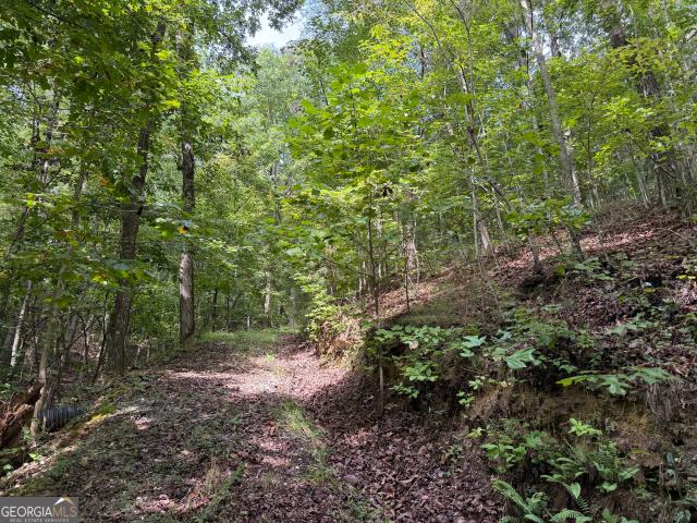 Land for sale in Pickens, Georgia