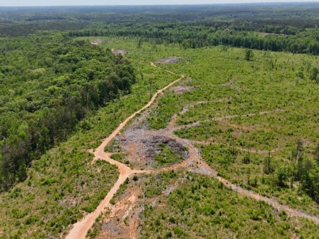 Land for sale in Georgia