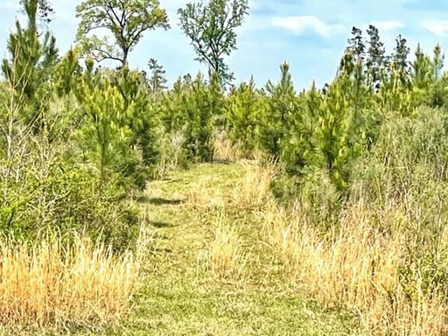 Land for sale in Georgia