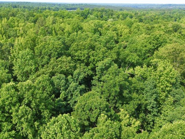 Land for sale in Tennessee