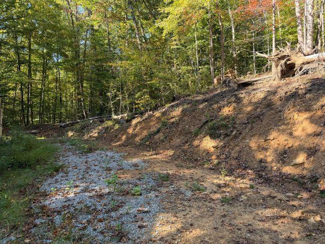 Land for sale in Morgantown, Butler County