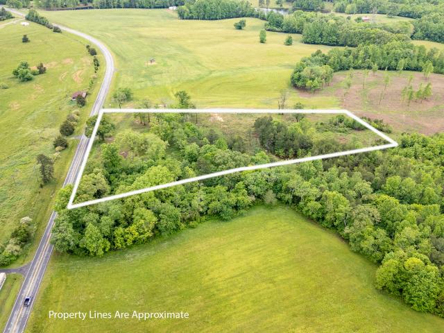 Land for sale in Trenton, Georgia