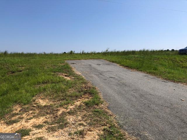 Land for sale in Cochran, Georgia