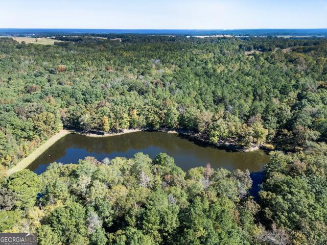 Land for sale in Shady Dale, Georgia