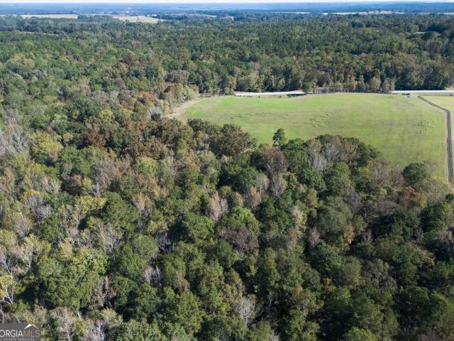 Land for sale in Shady Dale, Georgia