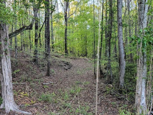 Property for sale in Shiloh, Georgia