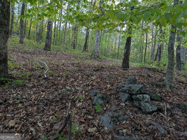 Land for sale in Shiloh, Georgia