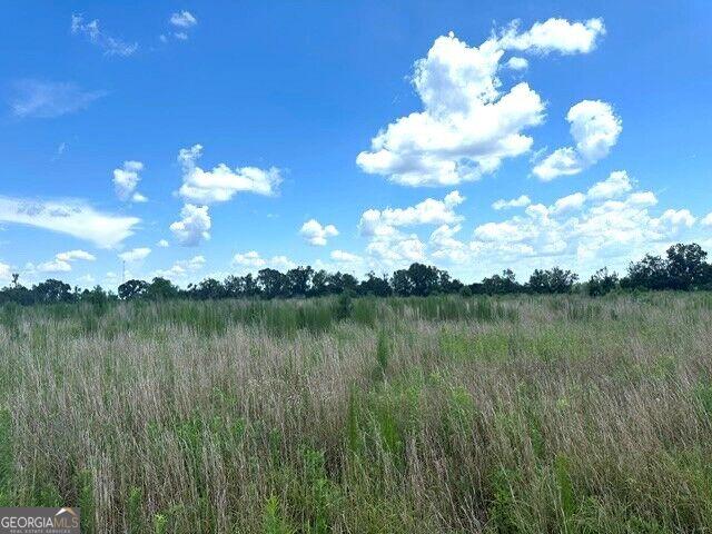 Land for sale in Vidalia, Toombs County
