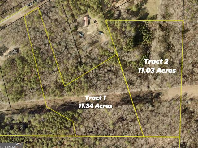 Land for sale in Whitesburg, Georgia