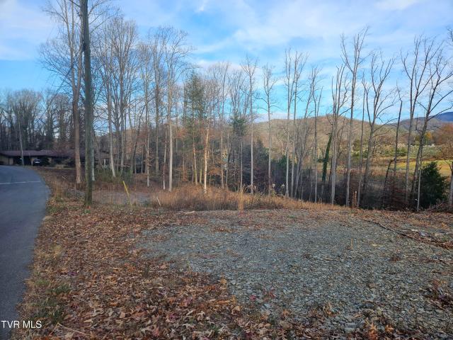 Land for sale in Tennessee