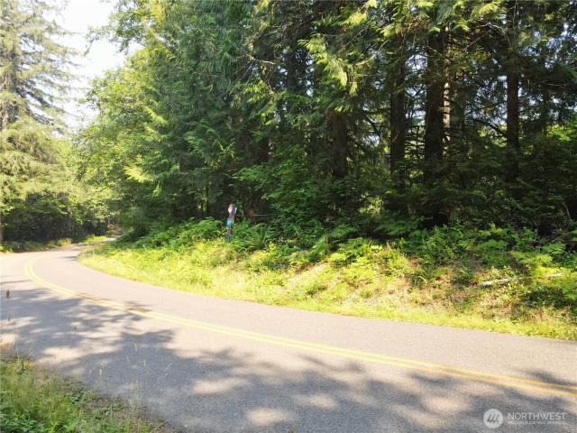 Land for sale in Shelton, Washington
