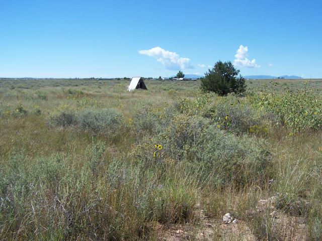 Land for sale in New Mexico