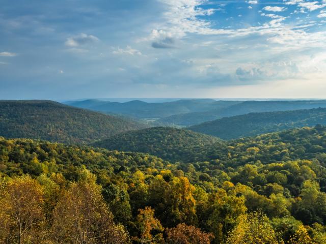 Land for sale in Tennessee
