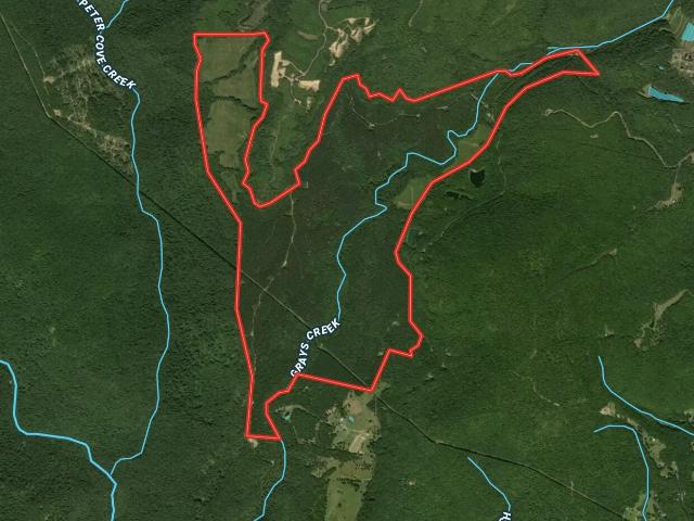 Land for sale in Tennessee