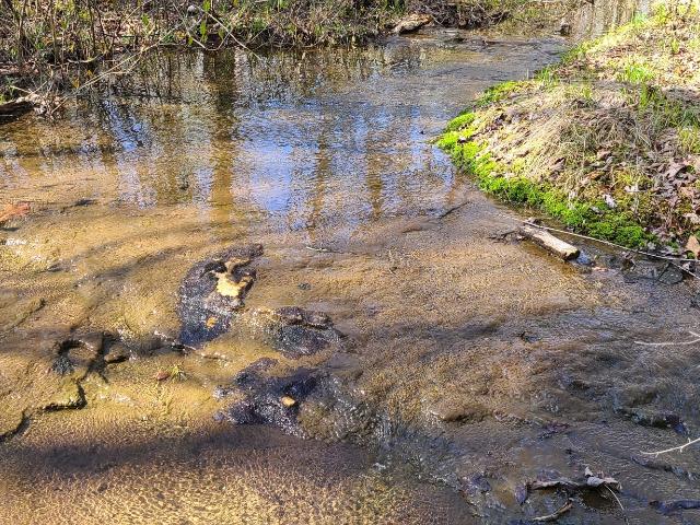 Land for sale in Tennessee